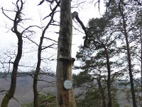 Sortie Phalsbourg CV Wingen 28 02 2016 (61)